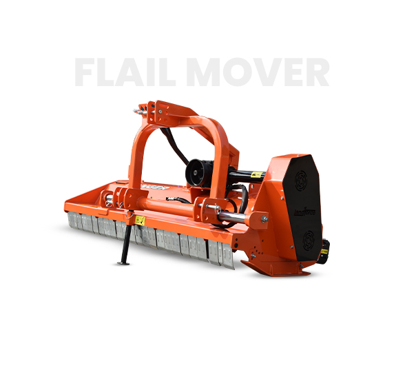 10-Deacetylbaccatin III