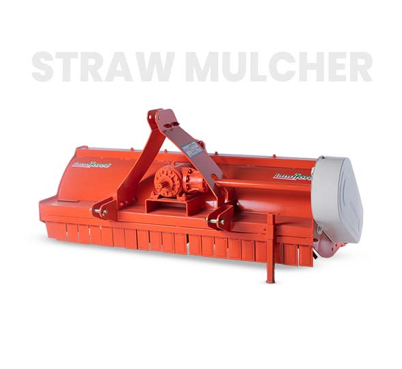 10-Deacetylbaccatin III