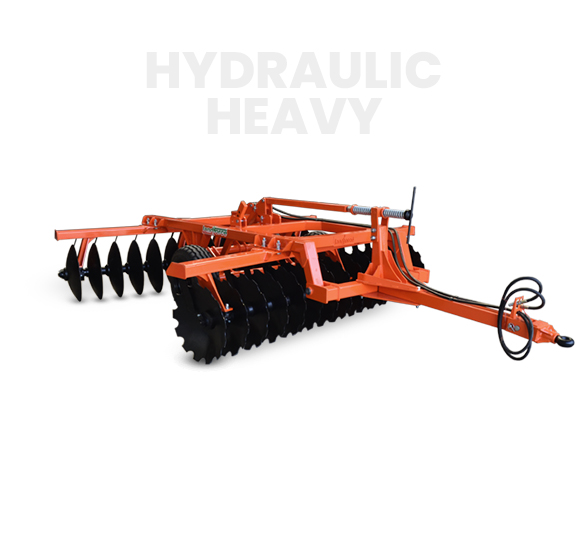 10-Deacetylbaccatin III