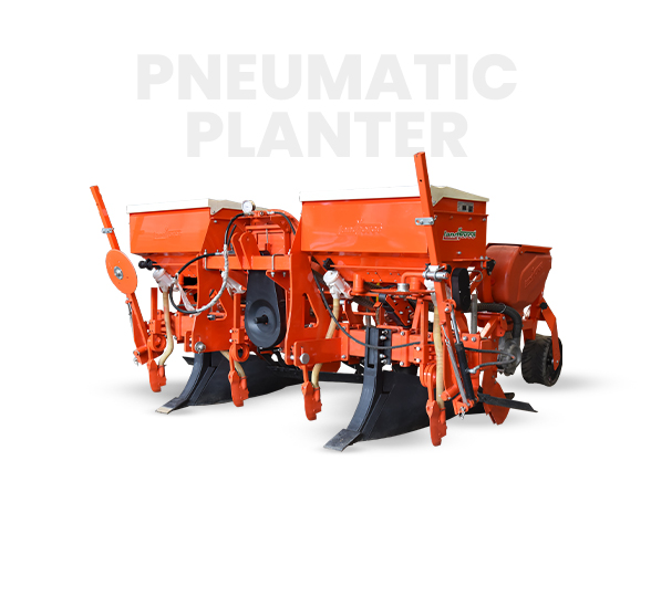 10-Deacetylbaccatin III